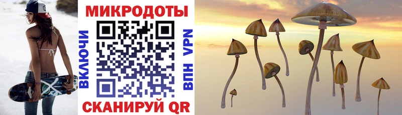 Галлюциногенные грибы мухоморы  Купить  Заводоуковск 