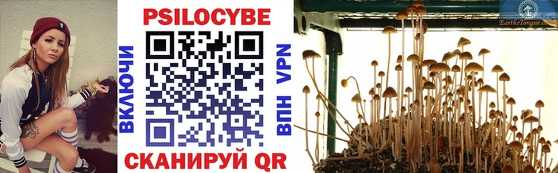 Галлюциногенные грибы ЛСД Заводоуковск