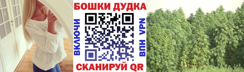 МАРИХУАНА ГИДРОПОН Заводоуковск